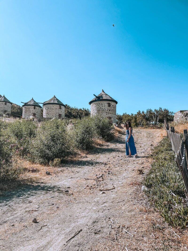 PORTFOLIO 80 PORTFOLIO 79