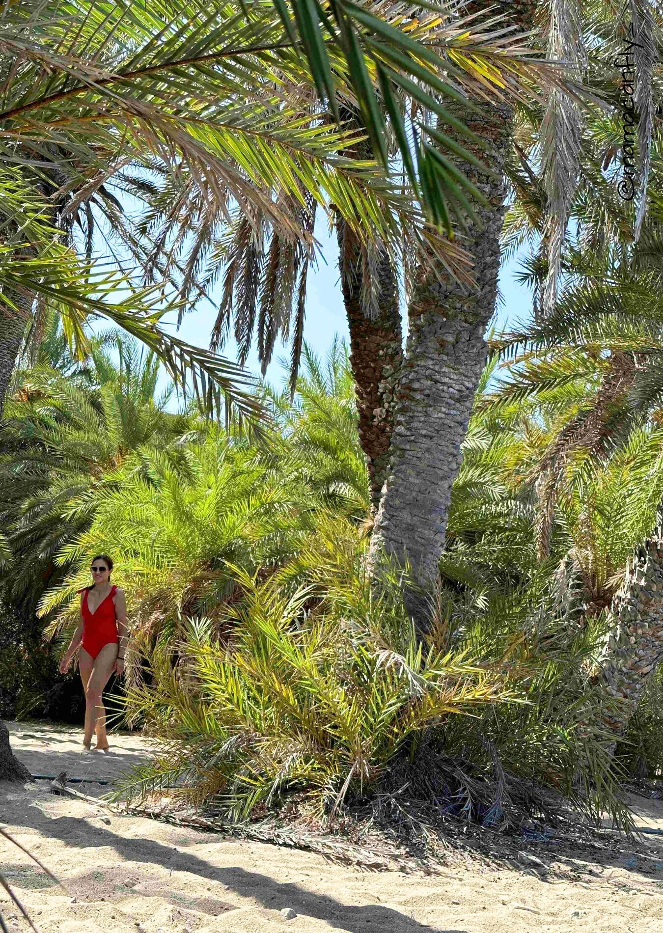 βάι, vai, diakopes sto lasithi, διακοπές στο λασίθι