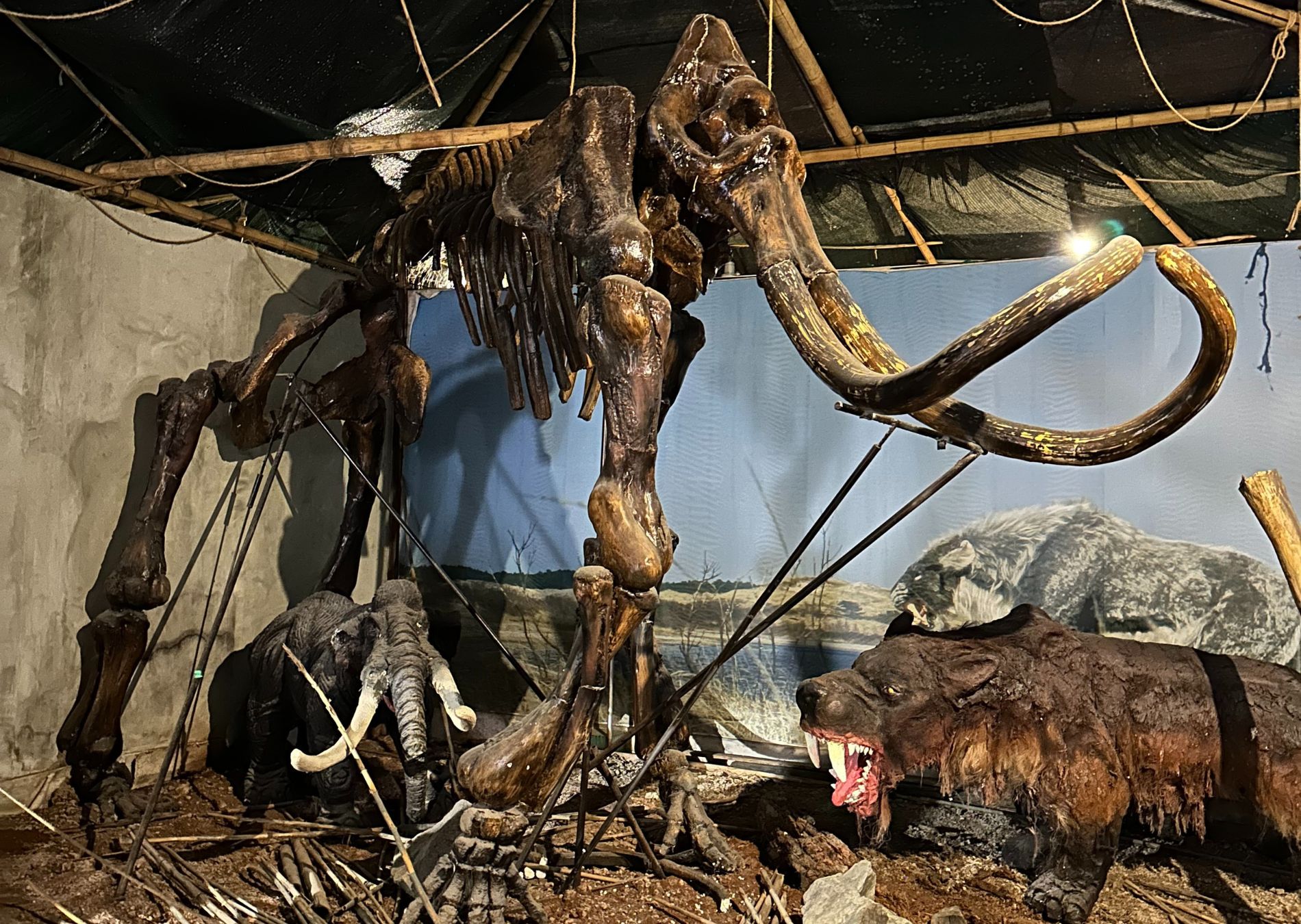 Θεσσαλονίκη Με Παιδιά | 7 Πράγματα Για Να Κάνετε 11 parko deinosaurwn, πάρκο δεινοσαύρων