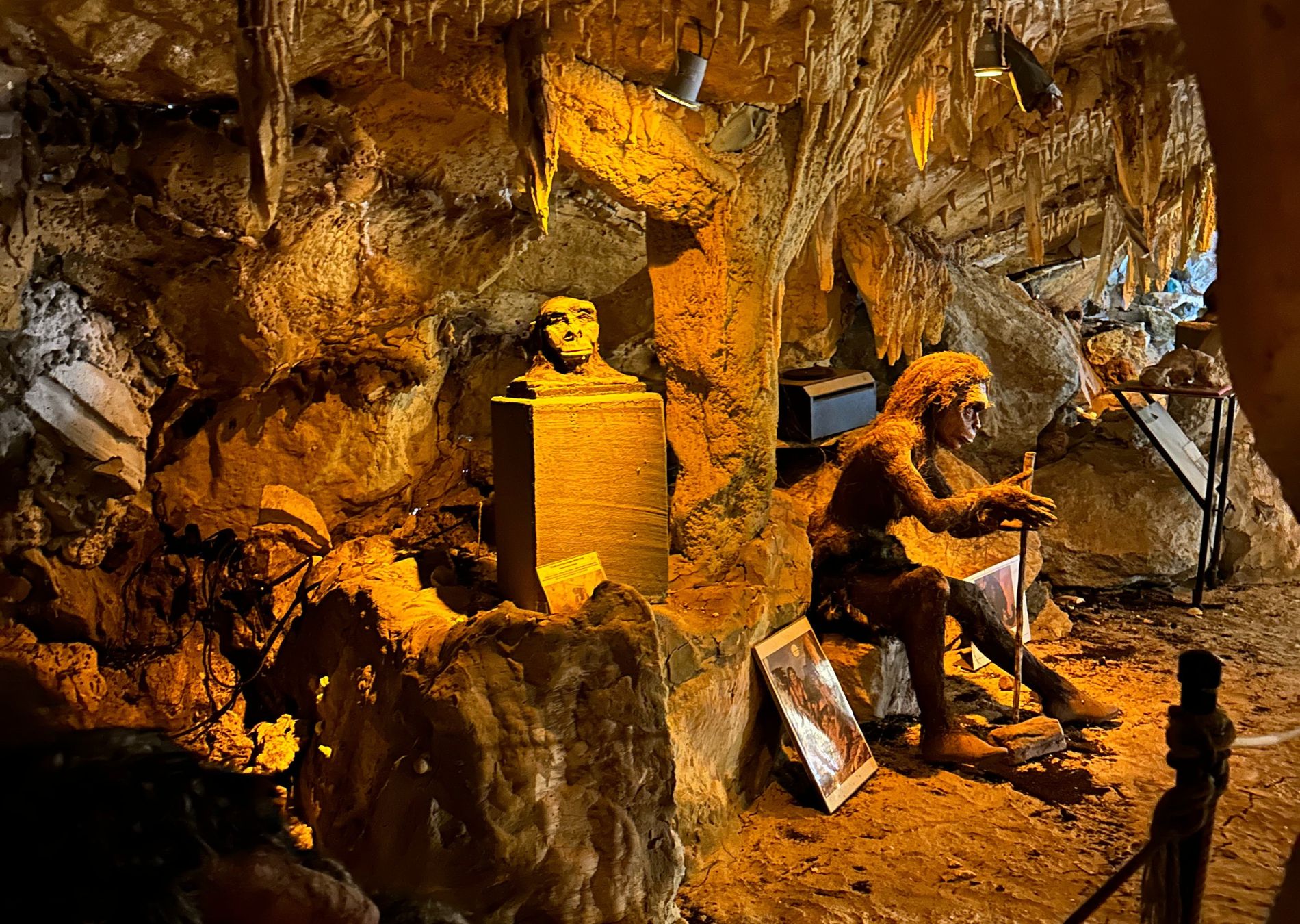 Θεσσαλονίκη Με Παιδιά | 7 Πράγματα Για Να Κάνετε 13 parko deinosaurwn, πάρκο δεινοσαύρων